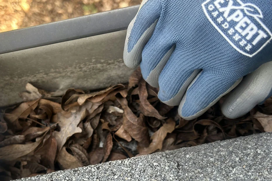 Gutter Cleaning Currituck