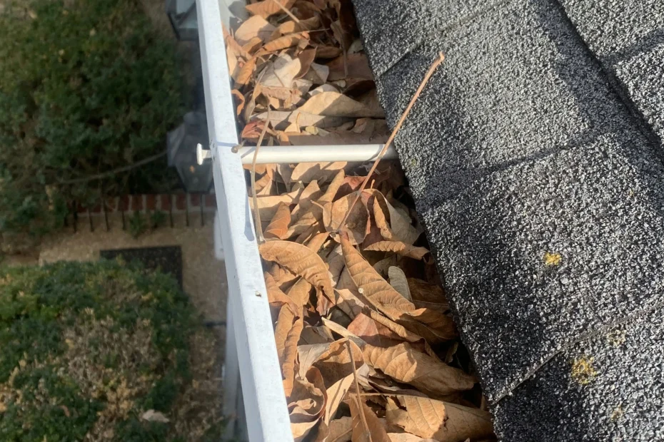 Gutter Cleaning Currituck